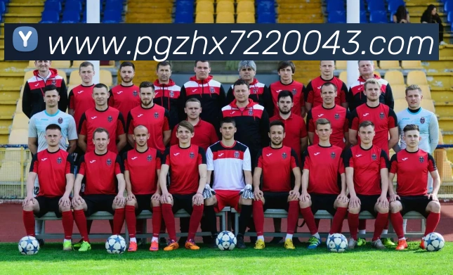 K1体育app官网APP 封面图